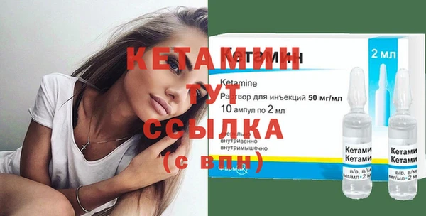 шишки Белокуриха