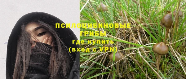 шишки Белокуриха