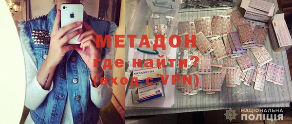 шишки Белокуриха