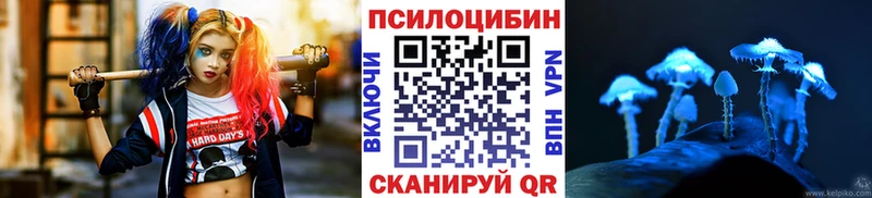 Галлюциногенные грибы Psilocybine cubensis  где найти   Малмыж 